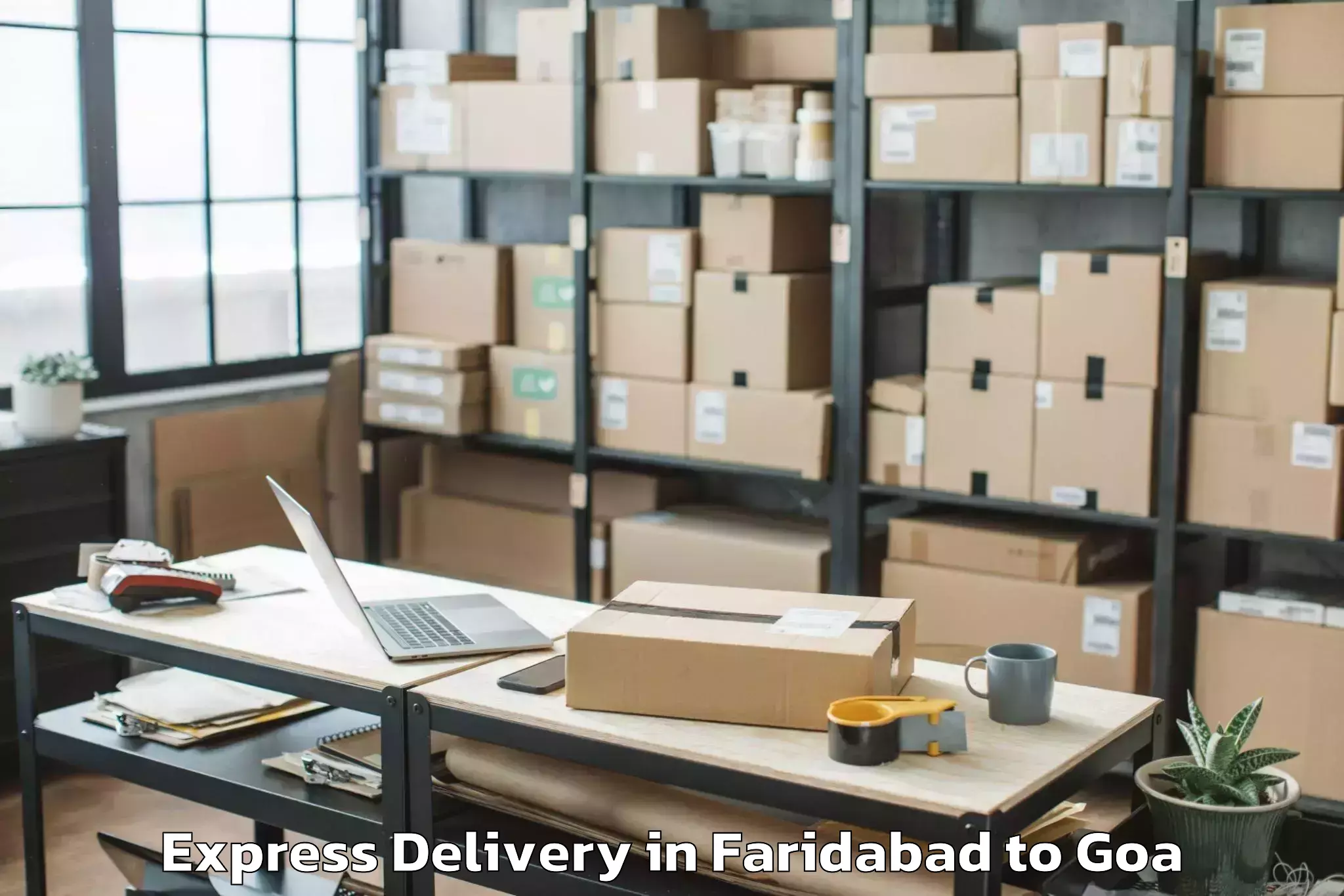 Affordable Faridabad to Candolim Express Delivery